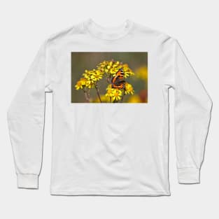 Tortoiseshell Butterfly in September sunshine Long Sleeve T-Shirt